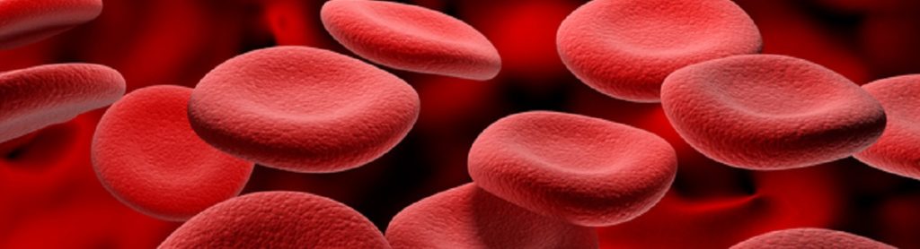 magnified red blood cells